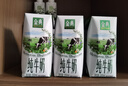 伊利金典纯牛奶整箱 200ml*24盒 3.6g乳蛋白 原生高钙 礼盒装 实拍图