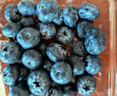 怡颗莓Driscoll's 云南蓝莓大果18mm+12盒装约125g/盒水果春节也送货 实拍图