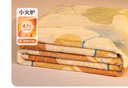 水星家纺毛毯夏季加厚午休毯子办公室单人空调毯 叶朦胧 100×140cm 实拍图