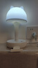 京黔台灯床头灯卧室阅读灯小夜灯婴儿喂奶护眼灯宿舍学习插座台灯 实拍图