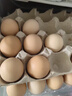 京鲜生可生食标准鲜鸡蛋30枚礼盒装3斤 源头直发 实拍图