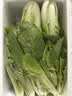 山东农家种植新鲜奶油小白菜时令蔬菜绿叶菜涮菜清脆巨嫩好吃 【泡沫箱发货-到手鲜】小白菜（3斤） 实拍图