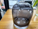 吕姆克花瓶玻璃摆件插花干花客厅书房摆件工艺品水培水养容器小号灰7771 实拍图