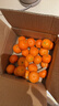 京鲜生 砂糖橘/砂糖桔 净重2斤 生鲜年货水果  实拍图