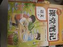2026【荣恒】课堂笔记三年级下册语文人教版黄冈学霸笔记教材全解小学三年级同步教材课前预习课后复习辅导书 实拍图