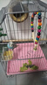 獒少保鸟笼鹦鹉专用鸟笼大号家用八哥鹦鹉笼子金属电镀加粗豪华鸟别墅 电镀银豪华套餐 大号56*32*31cm 实拍图
