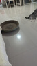 疯狂的主人 猫抓板窝超大号猫玩具猫爪板猫抓盆不掉屑猫窝碗形圆形瓦楞纸 实拍图