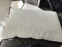水星家纺枕头枕芯酒店枕头护颈枕头芯家用单个纯棉抗菌可水洗低枕48x74cm 实拍图