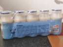 味动力乳酸菌饮料原味100ml*20儿童早餐奶酸奶小瓶牛奶0添加乳酸菌饮料 实拍图