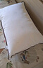 水星家纺枕头枕芯酒店枕头护颈枕头芯家用一对纯棉抗菌可水洗低枕48x74cm 实拍图