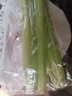 大芹菜约400g 实拍图