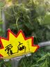 CIGA Design玺佳锋芒机械表酒桶双面镂空腕表 男士手表 生日礼物 实拍图