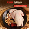 1号会员店 富硒汤鸽 530g (2只) 冷冻原粮喂养滋补炖汤烤乳鸽子肉 实拍图