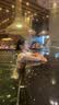 回力泳衣女保守显瘦女士爆款性感裙式高级感温泉泳装15009BH 白色 L 实拍图