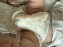 祺安熊猫乳木果油婴儿护臀纸尿裤L码26片16-22斤超薄透气成长裤 实拍图