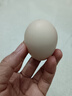 京鲜生 无抗保洁鲜鸡蛋30枚/盒 健康轻食 礼盒送礼 1.5kg/盒 源头直发 实拍图