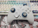 飞智冰原狼4多模版无线游戏手柄 类xbox 力调节摇杆双切扳机 switch电脑PC手机steam体感NS 仁王3 实拍图