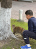 宠非凡小鱼干冻干双拼猫粮500g 无谷猫粮试吃幼猫成猫冻干猫咪高蛋白 实拍图