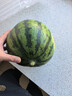 京鲜生 无籽麒麟大西瓜 1粒装 净重7-9斤 生鲜水果 实拍图