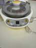 小熊（Bear） 酸奶机 家用全自动米酒机不锈钢内胆酸奶发酵 陶瓷4分杯 SNJ-B10K1 实拍图
