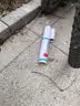 骄猛红V升级花V乒乓球胶皮 乒乓球拍套胶79-033内能VEGA JAPAN红色2.0 实拍图