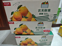 农夫山泉 农夫鲜果 净重10斤装 生鲜水果橙子年货礼盒源头直发包邮 实拍图