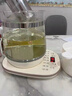 小熊（Bear）养生壶 煮茶壶 恒温水壶 保温烧水一体电热水壶花茶壶 316L不锈钢 1.5L大容量 YSH-J15H8 实拍图