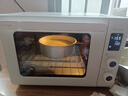 长帝（changdi）国家补贴家用烤箱猫小易pro电烤箱风炉平炉空气炸42升大容量多功能烘焙炸烤一体机烧烤新年货礼物 实拍图