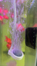 松宝（sobo）鱼缸增氧泵养鱼氧气泵小型家用充氧泵水族箱打氧机增氧泵 双孔3W 实拍图