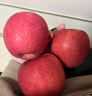 京鲜生山东红富士苹果净重 5斤礼盒+手提袋 单果230g起 源头直发包邮 实拍图
