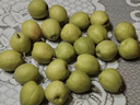 京鲜生 新疆库尔勒香梨 净重10斤 特级 单果120g以上 生鲜水果 实拍图