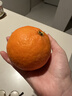 京地达四川春见耙耙柑净重8斤大果80mm+柑橘桔子水果源头直发 实拍图