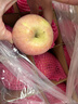 京鲜生 烟台红富士苹果 净重4.2斤 单果160-190g 生鲜水果 实拍图