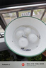 华盾下水裤水裤雨裤带雨鞋防水衣服半身全身连体叉捕抓鱼劳保皮裤 卡其色加厚PVC下水裤（配反光腰带） 38 实拍图