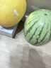 京鲜生 无籽麒麟大西瓜 1粒装 净重7-9斤 生鲜水果 实拍图