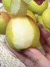 京鲜生 新疆库尔勒香梨 净重10斤 特级 单果120g以上 生鲜水果 实拍图