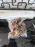 得力家用腊肉抽真空封口机小型真空包装机食品全自动真空机干湿两用商用真空保鲜打包机小巧便携 LM120 实拍图