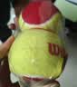 Wilson威尔胜青少年儿童训练网球低压缩网球耐磨Starter WRT137300 实拍图