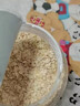 食界君澳洲进口燕麦片0糖0脂肪中老年无糖尿人专用全麦早餐即食冲饮原装 1罐【喝不够】 实拍图