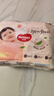 好奇（Huggies）铂金装小桃裤拉拉裤XL64片(12-17kg)加大号尿不湿【透爽散热】 实拍图