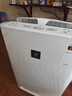 夏普 （SHARP）空气净化器家用消毒机无雾加湿净化机杀菌除甲醛异味雾霾PM2.5过敏源 KC-BB20-W1 BB20（P60升级热销款) 实拍图