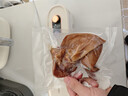 得力真空封口机家用小型全自动真空包装机食品塑封干湿两用大吸力保鲜打包机内置切刀 奶油黄 实拍图