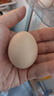 京鲜生可生食标准鲜鸡蛋30枚礼盒装3斤 源头直发 实拍图