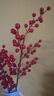 花点馨意冬青发财果仿真花装饰摆件红果新年宵花卉假花餐桌插花6叉2支5189 实拍图