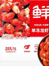 鲜京采 无冰小龙虾尾（一级） 净虾重2斤 大号 无添加 京东自有品牌 实拍图