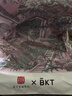 BKT护腰坐垫护腰久坐神器人体工学汽车腰靠办公室护腰椅垫520礼物 实拍图