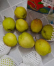 京鲜生 新疆库尔勒香梨 净重10斤 特级 单果120g+ 生鲜水果 春节也送货 实拍图