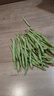 农家四季豆新鲜现摘云南长扁豆角农家应当季蔬菜芸豆现摘菜豆 新鲜四季豆300g 实拍图