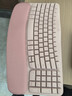 罗技（Logitech）Wave Combo 无线人体工学键鼠套装 垂直鼠标 无线蓝牙鼠标 办公键盘 无线键盘 蓝牙键盘 粉色 实拍图