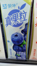 蒙牛真果粒蓝莓味牛奶饮品250g*12盒 小黄鸭IP 礼盒新老包装 含乳饮料 实拍图